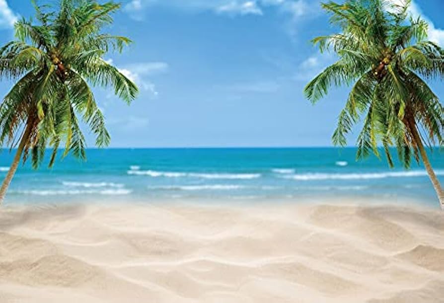 vacaciones en la playa con palmeras